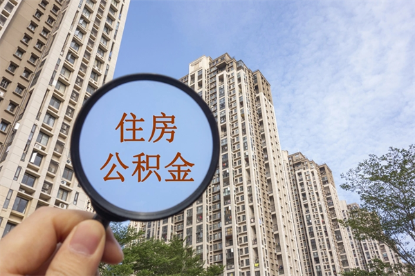 涿州怎么把公积金全部取出来（如何将公积金全部取出）